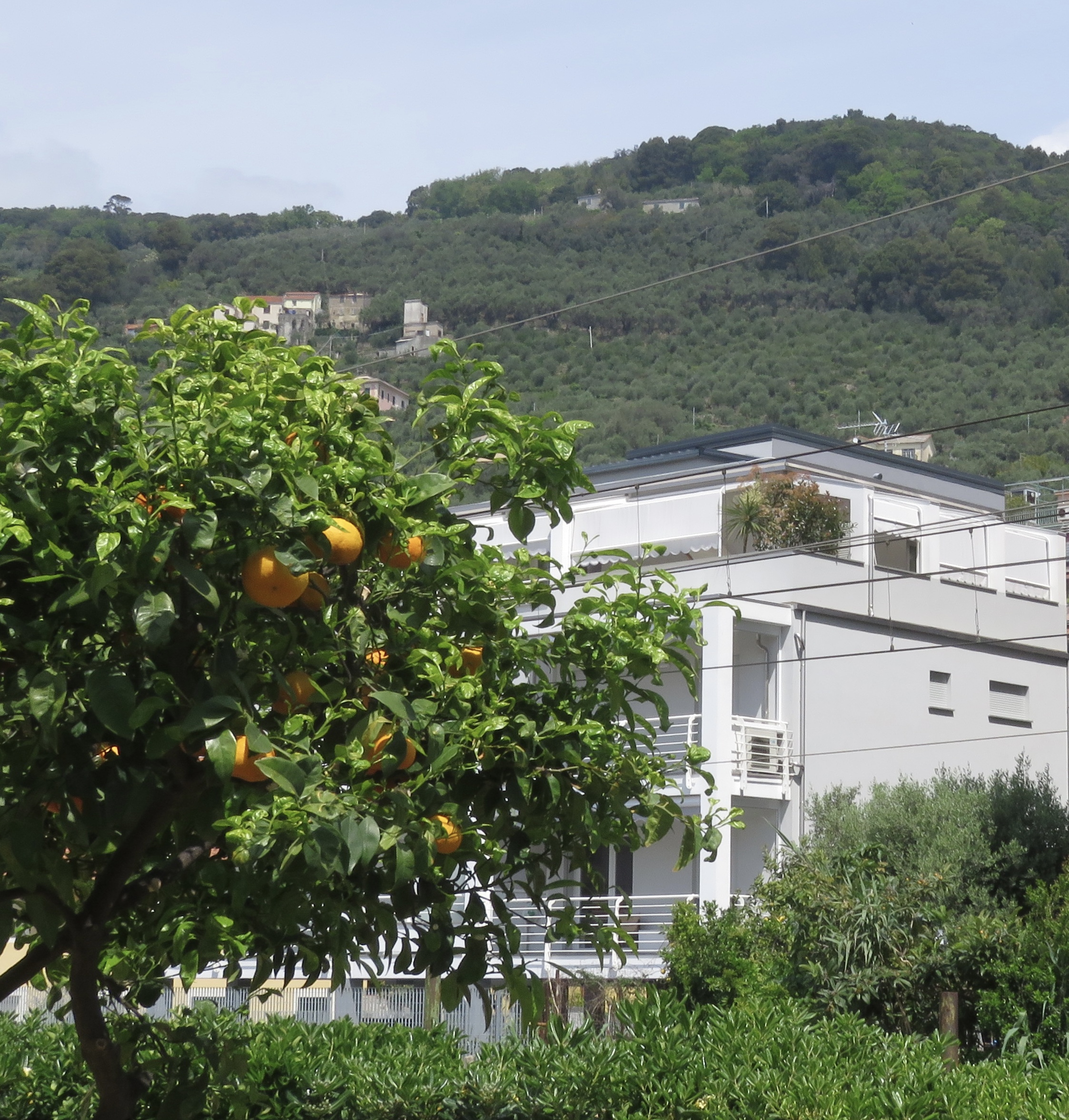 05-monolocale-appartamento-residenza matilde-chiavari