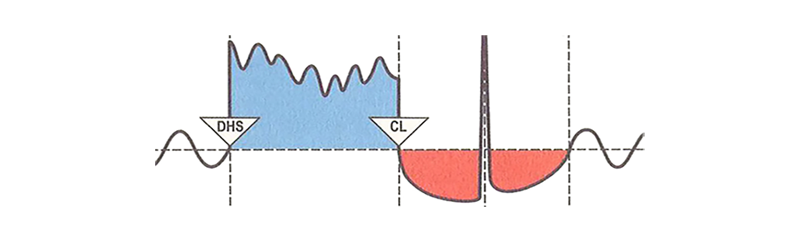 5lb-5-leggi-biologhiche-curva